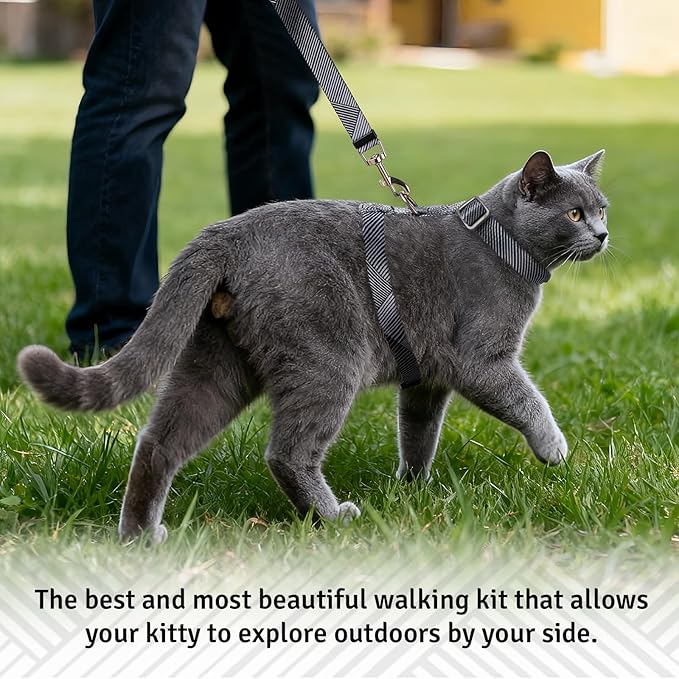 Cat Harness and Leash Set, Anti Escape Adjustable Cat Leash, Comfortable Soft Lightweight, Use Safe & Easy, Suitable for Small, Walking Kitten Harness for Large Medium Small Cats, Black