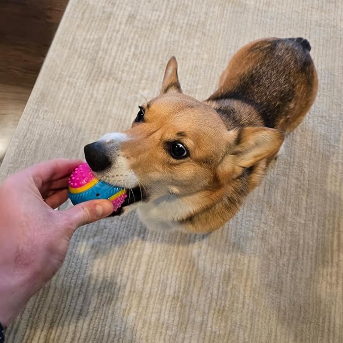 SPOT Sensory Ball for Soft Chewers - Stimulates All 5 Senses, Bell & Squeaker Sounds, Raised Nubs Clean Teeth, High Contrast Fetch Toy, Beef Scented, Durable TPR Rubber Ball, 2.5-inch