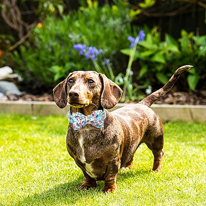 Lionheart glory Dog Collar Bow Collar Floral Dog Collar with Bow Tie Spring Summer Cute Collar Dog Boy or Girl Dog Collars Soft Durable Adjustable Dog Collars for Medium Dogs