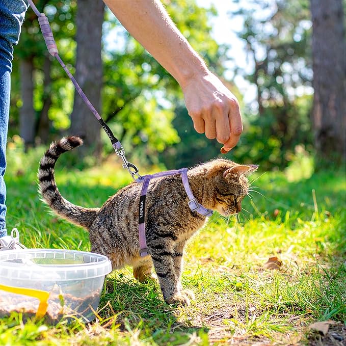 Cat Harness and Leash for Walking Escape Proof Adjustable Soft Harnesses and Leash Set Easy to Wear Kitten Harness for Travel Training and Walking(Gradient Purple)