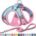 AIITLE Comfortable Dog Harness and Leash Set for Walking - Step in Vest Harness,Reflective Bands, Adjustable No Pull Puppy Essentials, for Small Dogs and House Cats Pink XS