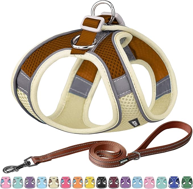AIITLE Easy Walk Dog Harness and Leash Set - Pet Supply No Pull, Step in Adjustable Dog Harness with Padded Vest, Dog Harness No Choke Over, Easy to Put on Medium Dogs Beige L