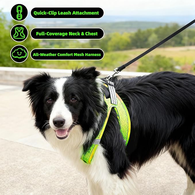 ROYPET Step-in Air Dog Harness, All Weather Mesh Step in Vest Harness for Small and Medidum Dogs and Cats, Adjustable Soft Padded Dog Vest with Easy Control Handle for Dogs Pets (Neon Green, XXL)