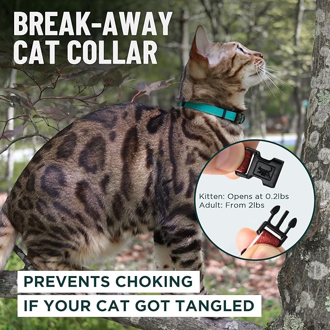OutdoorBengal Blue Cat Collar Breakaway with Soft Padding for Medium to Large Cats - Durable Heavy Duty Tactical Fabric, Comfortable, Quick Release Breakaway Cat Collars, No Bell Collar (Blue, Adult)