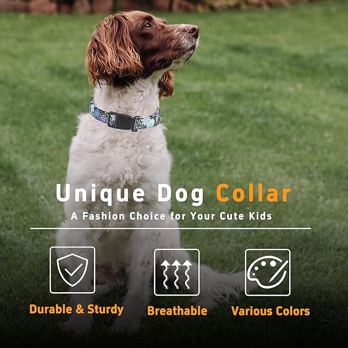 Dog Collar for Boys & Girls, Puppy Collar for Small to Large Dogs, Adjustable Soft Pattern Pet Collar with Safety Buckle for Male & Females (Red, S)
