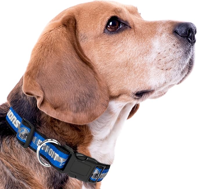 NFL PET Collar Detroit Lions Dog Collar, Small Football Team Collar for Dogs & Cats. A Shiny & Colorful Cat Collar & Dog Collar Licensed by The NFL