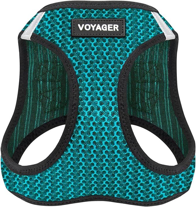 Best Pet Supplies Voyager Step-in Air Harness - All Weather Mesh, Reflective, No Pull Harness for Dogs, Cats - Secure with Hook & Loop Fastener, Buckle, Double D-Rings - Turqupise 2-Tone, XS