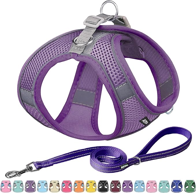 AIITLE Small Harness for Puppy with A Leash - Dog Vest Harness with Super Breathable Mesh, Reflective No-Pull Pet Harness for Outdoor Walking, Running for Small Dogs, Cats Pure Purple XXS