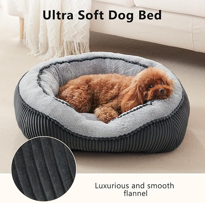 SIWA MARY Medium Dog Beds for Medium Small Dogs Washable, Rectangle Dog Bed Medium Size Dog, Orthopedic Warming Soft Calming Sleeping Puppy Bed Durable Pet Bed with Anti-Slip Bottom(25"x21"x8")