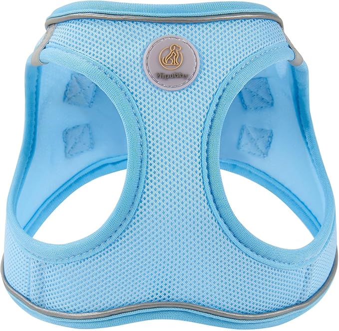 Hipubby Dog Harness and Leash Set, No Pull Soft Mesh Puppy Harness for Small Medium Dogs, Cats - Step in Reflective Breathable Lightweight Vest Harness for Walking, Training - Blue, XXS