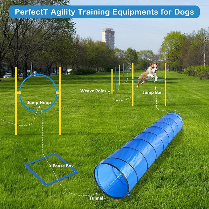 RAIN QUEEN Dog Agility Course Backyard Set - Agility Training Equipment for Dogs Starter Kit-Pet Outdoor Games with Tunnel, Weave Poles, Adjustable Hurdle, Jump Ring, Pause Box, Toys and Carrying Bag