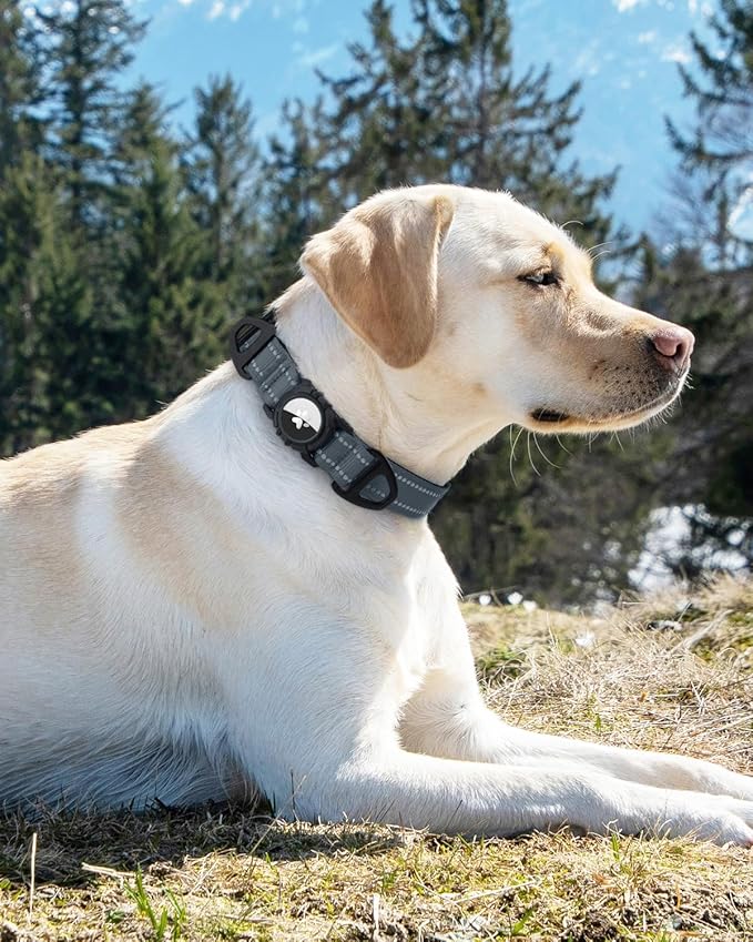 Joytale Airtag Dog Collar, Reflective Pet Collar with Waterproof AirTag Holder, Dual D-Rings, Soft Padded Adjustable for Large Dogs, Gray, L