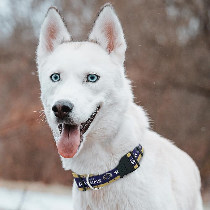 New & Improved Pets First NFL Licensed PET Collar- Heavy-Duty, Strong, and Durable New Dog Collar. Available in 32 Football Teams and 4 Sizes