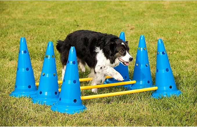 Midlee Dog Cone & Pole Agility Set- Adjustable Big to Small Dogs- Set of 3