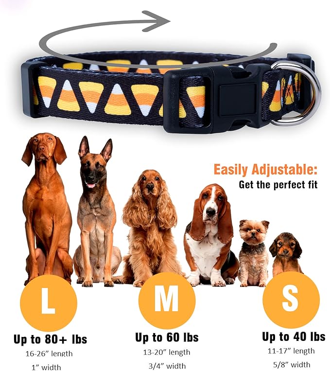 Native Pup Halloween Dog Collar- Spooky Fall Themed Horror Costume Collars- Skull, Pumpkin, Ghost, Bat, Witch, Candy Corn, Spider- Adjustable for Small, Medium, Large Breeds (Small, Candy Corn)