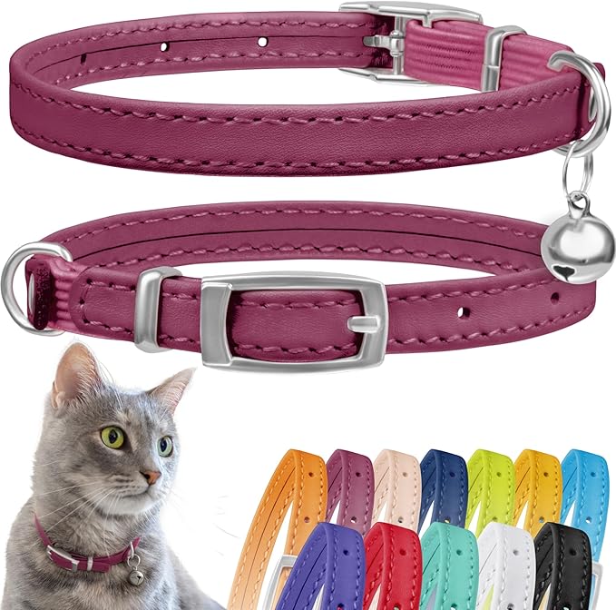 CollarDirect Leather Cat Collar with Removable Bell (Pink, 8-11 Inch)
