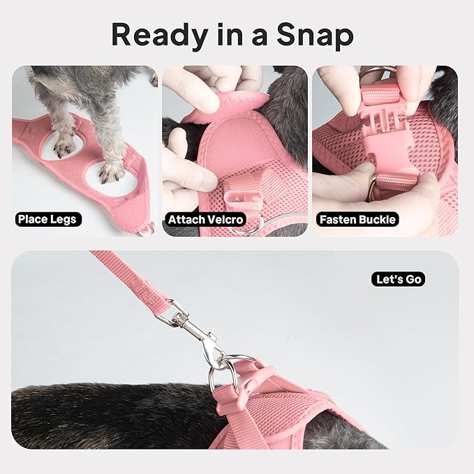 PetiFine Extra Small Step in Dog Harness and Leash Set, Cat Harness and Leash Escape Proof, All Weather Mesh Reflective, Step-in Air Vest Harnesses for Puppy(XXXS, Pink)