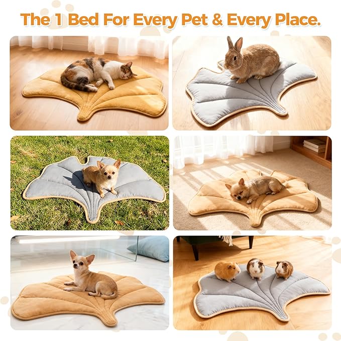 KOOLTAIL Self Warming Cat Bed Mat for Indoor Cats Dogs, Reversible Cozy Pet Heated Pad Blanket with Thermal Foil, Thicken Cat Window Perch, Puppy Kitten House for Crate Desk Floor Outdoor, Gingko Leaf