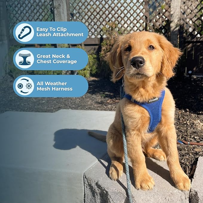 Best Pet Supplies Voyager Step-in Air All Weather Mesh Harness and Reflective Dog 5 ft Leash Combo with Neoprene Handle, for Small, Medium and Large Breed Puppies - Set (Royal Blue), XS