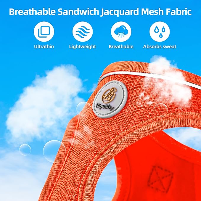 Hipubby Dog Harness and Leash Set, No Pull Soft Mesh Puppy Harness for Small Medium Dogs, Cats - Step in Reflective Breathable Lightweight Vest Harness for Walking, Training - Orange, M