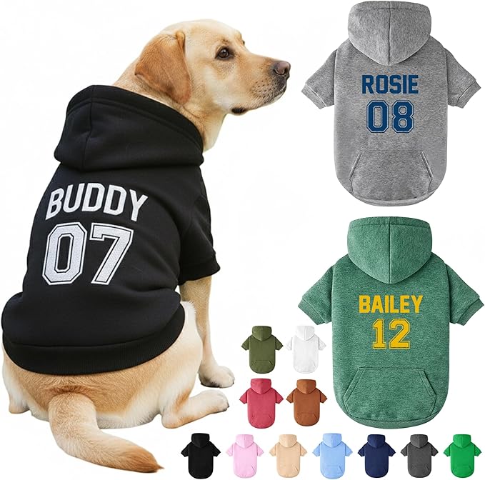 Personalized Dog Hoodie with Name/Text, Custom Embroidered or Printed Dog Sweater, Warm Winter Hoodie for Puppies, Cute Birthday Outfit, Unique Gift for Pet Lovers, A3
