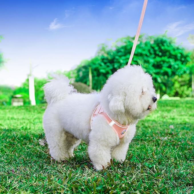 Hipubby Dog Harness and Leash Set, No Pull Soft Mesh Puppy Harness for Small Medium Dogs, Cats - Step in Reflective Breathable Lightweight Vest Harness for Walking, Training - Pink, M