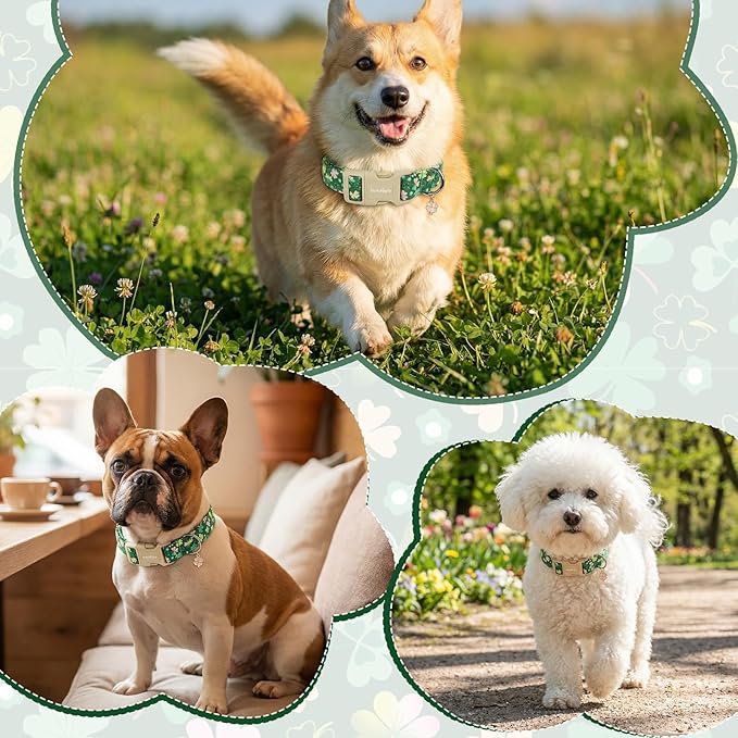 St. Patrick's Day Dog Collar,Green Clover Lucky Shamrock Puppy Collar,Adjustable Spring Cotton Collars Gifts for Small Medium Large Dogs,Dog Accessories S