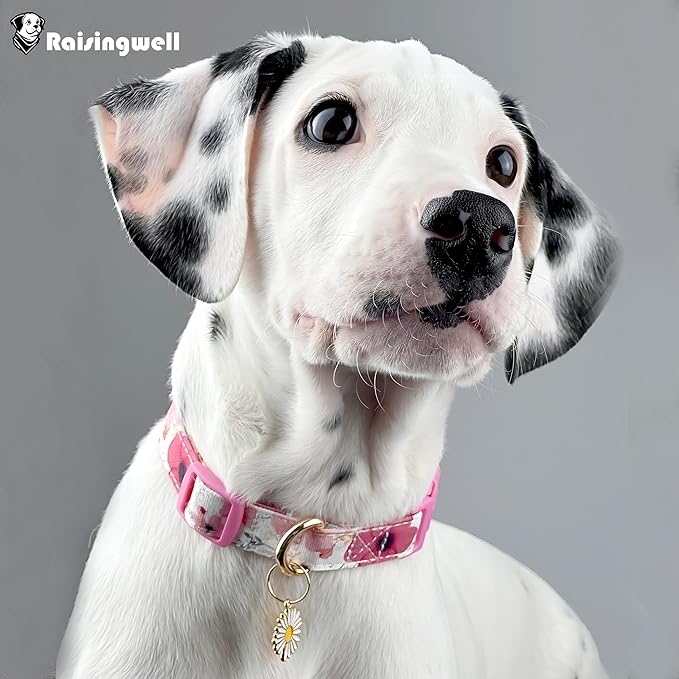Cotton Dog Collar Light Pink Flower Pattern for Boys and Girls Cute Dog Collars Summer Fall Gift Adjustable for Small to Medium Breed Dogs (S)
