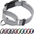 Martingale Dog Collar, Adjustable Nylon Reflective Collar with Buckle No Pull Dog Collar for Small Medium Large Dogs (Grey S)