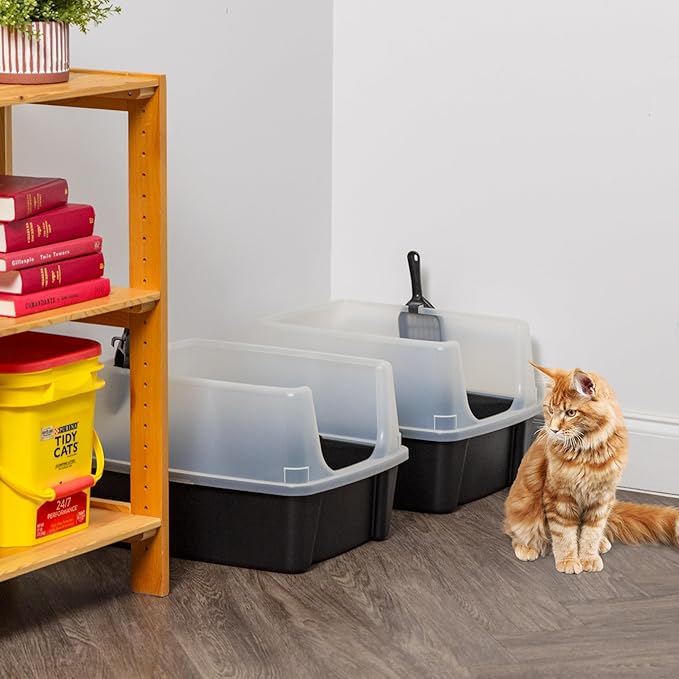 IRIS USA 2 Pack Large Open Top Cat Litter Box with High Sides, Scatter Shield & Scoop, Black, for Indoor Cats, Kittens or Multicat Homes