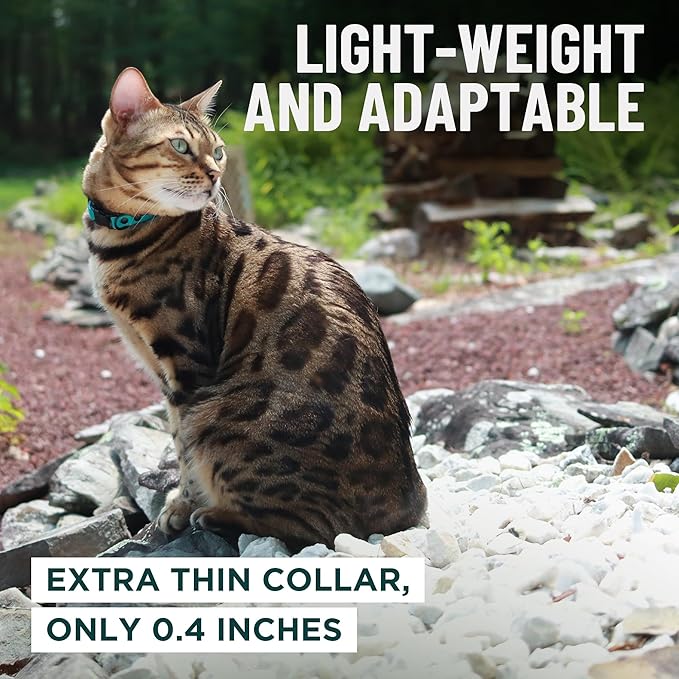 OutdoorBengal Green Breakaway Kitten Collar - Ultra Safe Quick Release Cat Collar for Small Kittens Under 6 Months – Soft-Padded, Lightweight, Adjustable, Thin and Comfortable, No Bell (Green, Kitten)