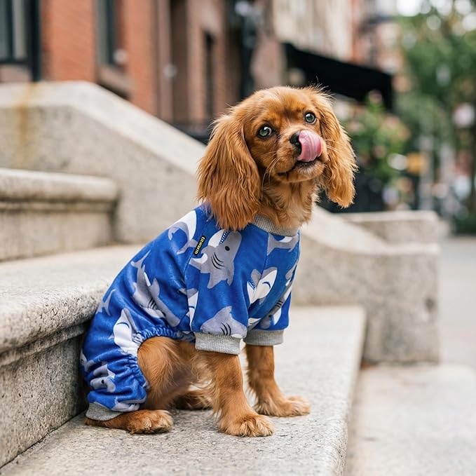 Fitwarm Shark Dog Pajamas, Dog Clothes for Small Dogs Girl Boy, Pet Onesie with Feet, Cat Outfit, Lightweight Velvet, Royal Blue, XL