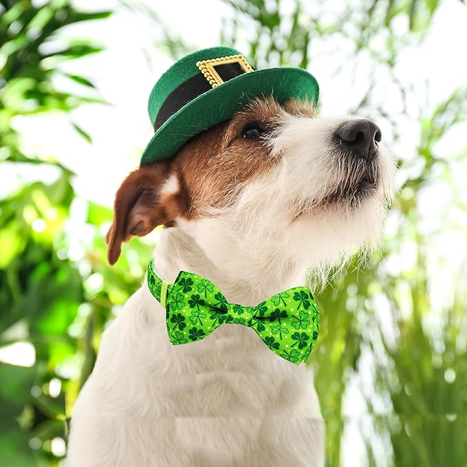 St. Patrick's Day Dog Collar with Bow Tie Set, Green Shamrock Clover Pattern Pet Collar, Adjustable Lucky Irish Holiday Neckwear for Small, Medium, and Large Dogs