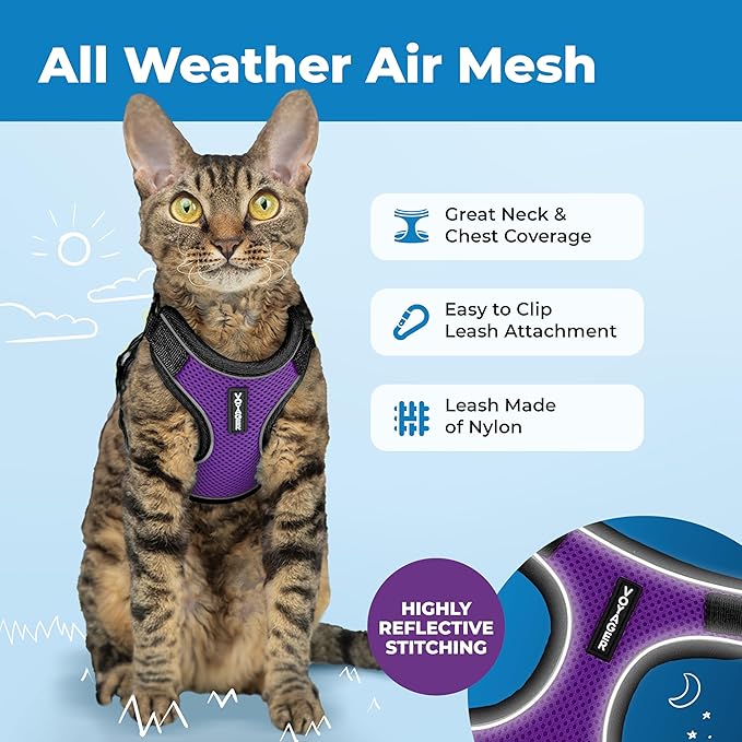 Voyager Escape-Proof Step-in Lock Cat Harness & 5ft Neoprene-Handle Leash Set All-Weather Mesh with Reflective Stitching for Small to Large Cats by Best Pet Supplies, Black Trim-Purple (327), XS