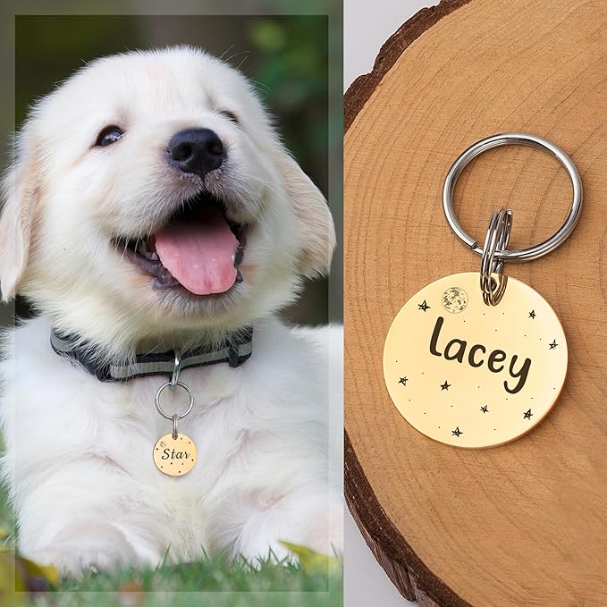 Anavia Small Size Dog Cat ID Tags, Small/XS Personalized Color Plated Stainless Steel Puppy Kitten Name Tags, Customized Engraved Nameplate Pet Collar Tag (Rose Gold, Round)
