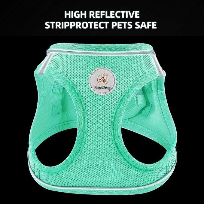 Hipubby Dog Harness and Leash Set, No Pull Soft Mesh Puppy Harness for Small Medium Dogs, Cats - Step in Reflective Breathable Lightweight Vest Harness for Walking, Training - Green, XS