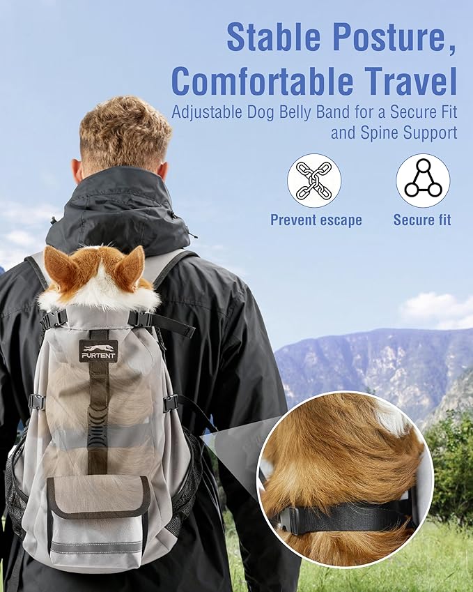 Dog Backpack for Small & Medium Dogs – 4-Layer Safety Pet Carrier with Thick Shoulder Straps, Detachable Waist Bag, Breathable Mesh & Storage Pockets for Travel & Hiking
