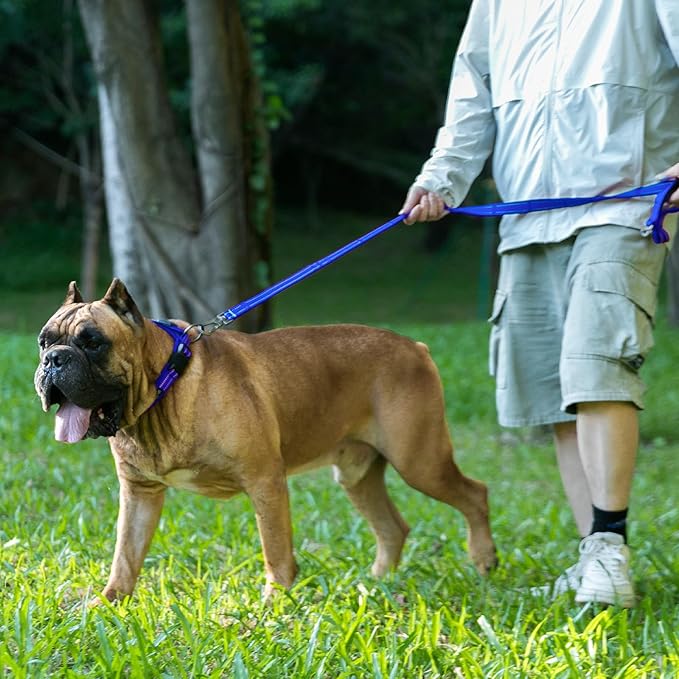 EXCELLENT ELITE SPANKER Reflective Dog Collar Classic Soft Padded Breathable Nylon Adjustable Pet Collar with Quick Release Buckle for Boy Girl Male Female Small Medium Large Dogs Training(Purple-S)