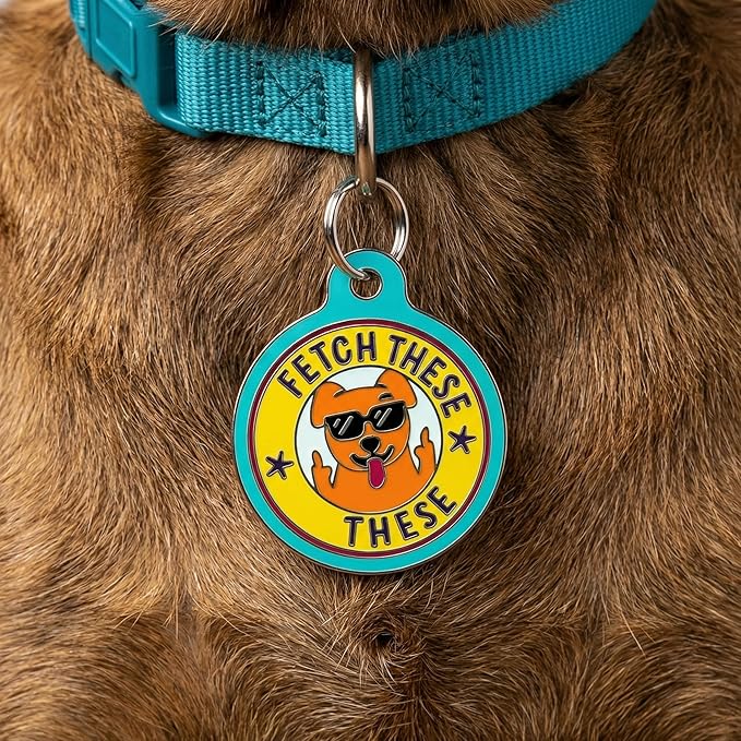 Bad Tags Personalized Dog and Cat ID Tags in 25+ Designs and 2 Sizes - 5 Lines of Custom Engraved Text - Funny Cute Personalized Pet Tags (Fetch These, Large (1.25 inch))