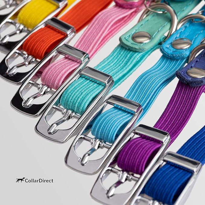 CollarDirect Leather Cat Collar, Kitten Collar with Removable Bell Black Blue Red Orange Lime Green (8-11 Inch, Light Blue)