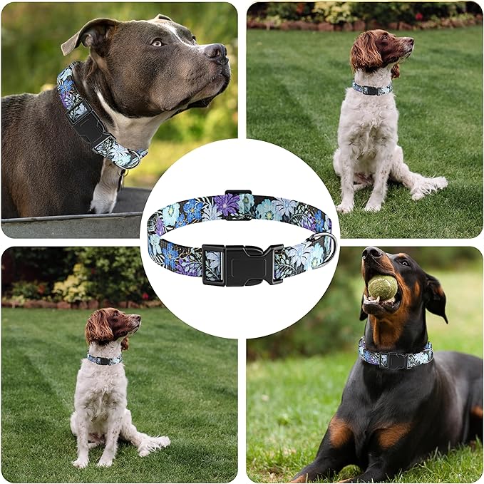 Dog Collar for Boys & Girls, Puppy Collar for Small to Large Dogs, Adjustable Soft Pet Collar with Safety Buckle for Male & Females (Purple Floral, S)