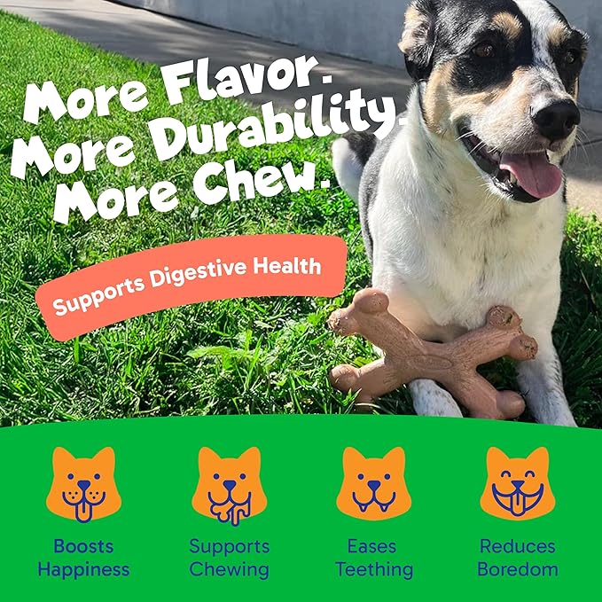 Chew’EMS X Bone Dog Chew Toy for Aggressive Chewers – Long-Lasting Salmon Flavor Nylon Bone – Durable, Rawhide-Free Dental Toy - Giant Size – Made in USA