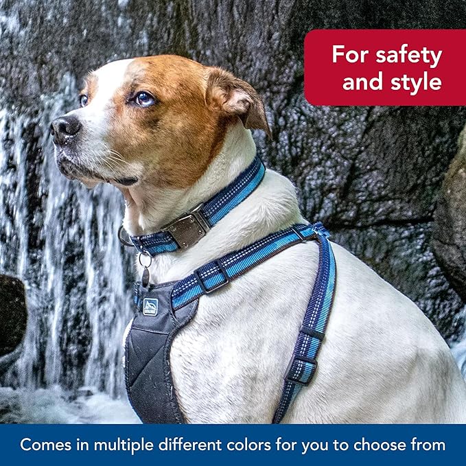 Coastal Pet K9 Explorer Reflective Adjustable Dog Collar - Comfortable Collar for The Outdoors - Durable, Lightweight Accessory with Side-Release Buckle - Berry, 1" x 12-18"