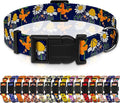 Dog Collar with Butterflies Print, Daisy Boys Girls Puppy Collar for Small Medium Large Dogs, Adjustable Soft Floral Pet Collar with Safety Buckle for Male Females(Blue Butterfly,S)