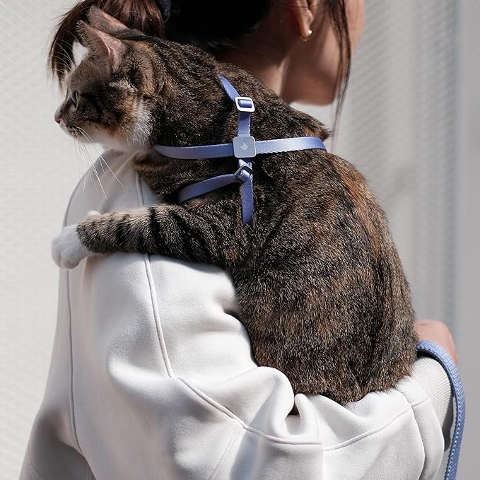 Cat Harness and Leash 2-in-1, Escape Proof Anti-Chocking Harness Adjustable Lighweight Leash Walking Outoor Training for Kitten Small Large Cats Puppy, US IDA Bronze Award (Midnight Black)