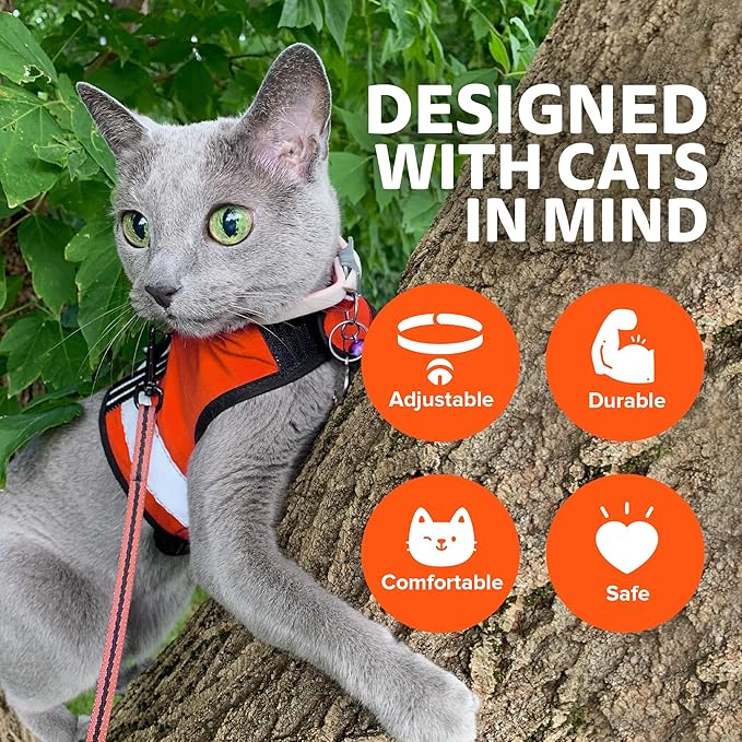 Kitty Holster Reflective Cat Harness – High-Visibility Cat Harness for Travel, Day and Night Walking - Soft Cotton Cat Accessories, Breathable, Secure & Washable, Made in USA-Outrageous Orange, S to M
