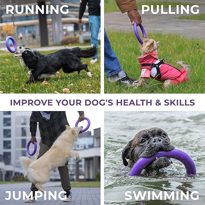 Dog Toy - Interactive Small Midi Dog Puppies Training - Fetch Toy - Dental Healthy - Dog Toys Set 2 Rings by Puller Mini Plus - Size 7 inches