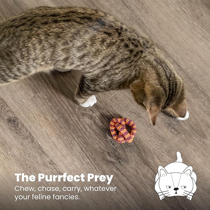 Catstages Plaque Away Pretzel Cat Toy – Interactive Catnip Dental Chew Toy to Help Clean Teeth,Fun for Play and Chewing,Orange,(Pack of 2)