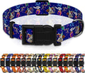 Dog Collar, Classical Birthday Gift Boys Girls Puppy Collar for Small Medium Large Dogs, Adjustable Soft Pet Collar with Safety Buckle for Male Females(Purple Birthday, XL)