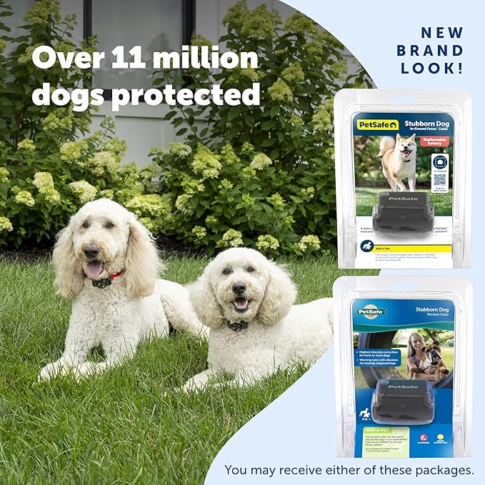 PetSafe Stubborn Dog In-Ground Fence Reciever Collar - Waterproof & Battery-Operated Adjustable Invisible Boundary Training Collar - for Dogs Older Than 6 Months Weighing 8lb+